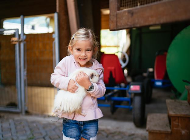 Adventure at the Alpenrose Horse Farm