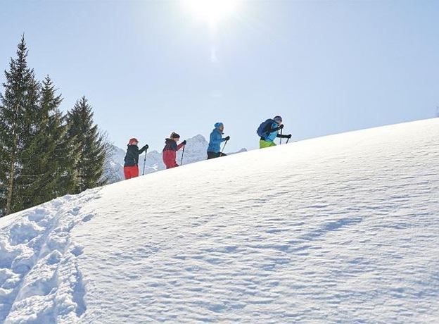Berg & Fit - Schneeschuhwanderung 'Tschengla-light'