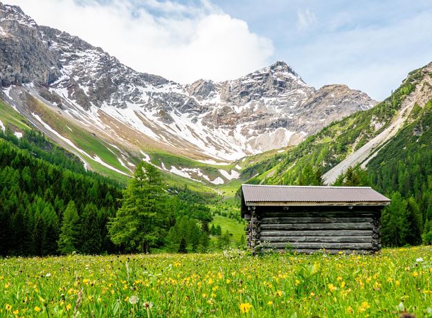 Naturexkursion zur Unteren Brüggelealpe